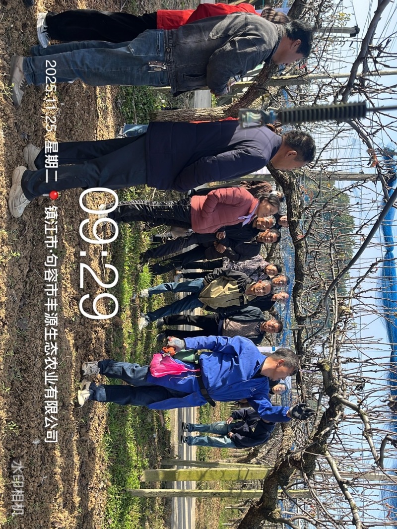 技术赋能梨园提质 观摩交流助农增收3.JPG