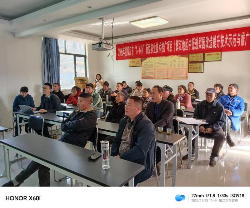 技术赋能梨园提质 观摩交流助农增收1.jpg