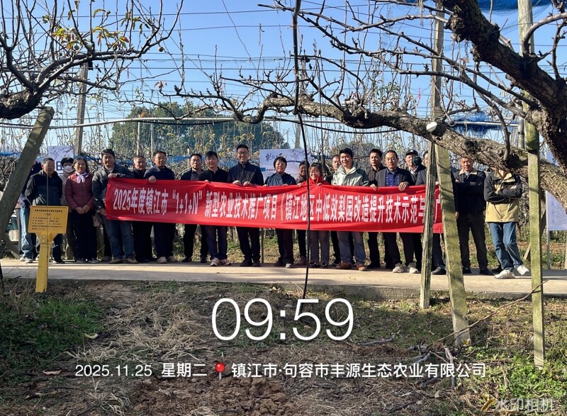 技术赋能梨园提质 观摩交流助农增收4.JPG